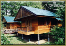 Borneo Rainforest Lodge