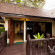 Фото Paradise Pearl Bungalow