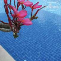 The Zen Hotel Pattaya 