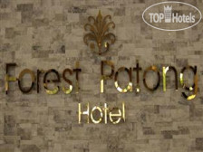 Forest Patong Hotel 3*