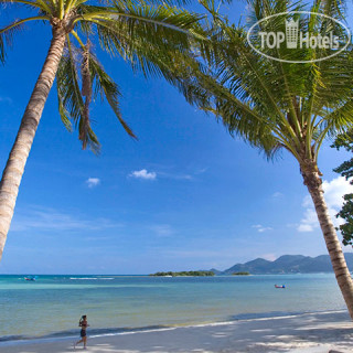 Фото отеля Akyra Chura Samui 4*