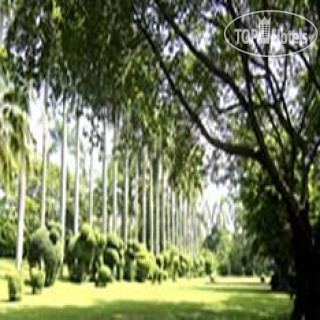 Фото отеля Rose Garden Riverside 4*