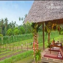 Thanyamundra Organic Resort 