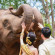 Anantara Golden Triangle Elephant Camp & Resort 