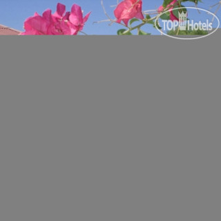 Hotel photos Citrus Tree Gardens 3*