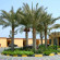 Фото Royal Beach Al Faqeet Hotel & Resort