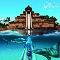 Atlantis - The Palm Аквапарк Aquaventure
