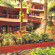 Anandam Ayurveda Resort 