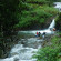 Blue Ginger Wayanad Resorts 