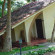 Kairali Ayurvedic Healing Village 