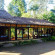 Machan Wildlife Resort (закрыт) 