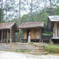 Vakona Forest Lodge 