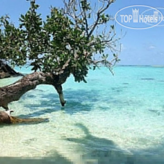 Фото отеля Sambatra Beach Lodge 3*