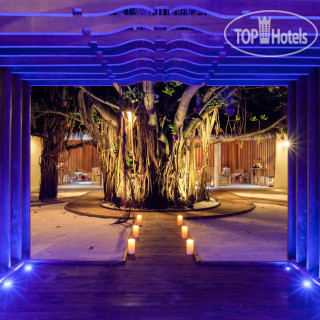 Фото отеля Centara Grand Island Resort & Spa 5*
