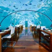 Conrad Maldives Rangali Island Ithaa - подводный ресторан