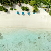 Canareef Resort Maldives 4*