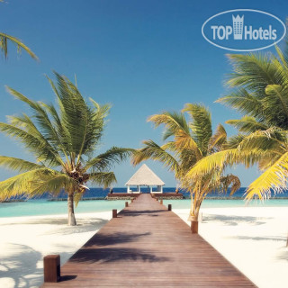 Фото отеля Coco Bodu Hithi 5*