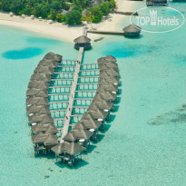 Outrigger Maldives Maafushivaru Resort 