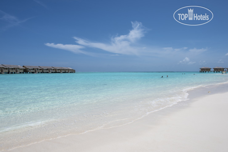 Фотографии отеля  You & Me by Cocoon Maldives 5*