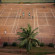 Vivanta Colombo, Airport Garden 