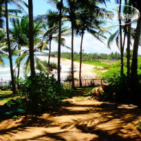 Turtle Bay Boutique Hotel 