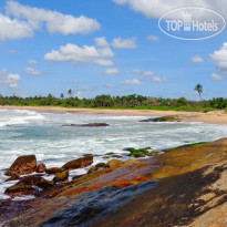 Turtle Bay Boutique Hotel 