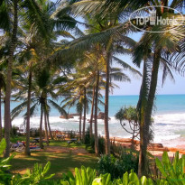 Turtle Bay Boutique Hotel 