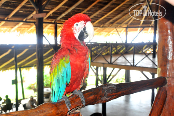 Фотографии отеля  Tiwa Amazonas Ecoresort 3*