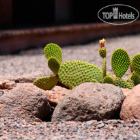 Nayara Alto Atacama Desert Lodge & Spa 