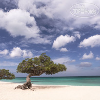 The Ritz-Carlton Aruba 