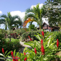 Le Jardin Malanga 