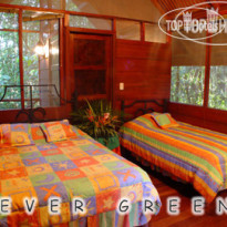 Evergreen lodge 