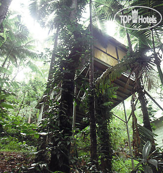 Фото Daintree Eco Lodge & Spa