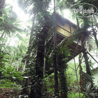 Daintree Eco Lodge & Spa 4*