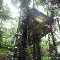 Daintree Eco Lodge & Spa 