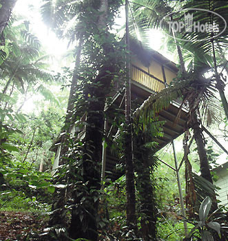 Фотографии отеля  Daintree Eco Lodge & Spa 4*