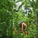 Fur 'n' Feathers Rainforest Tree Houses 