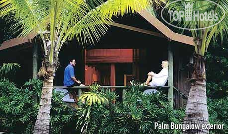 Фотографии отеля  Palm Bungalows 3*