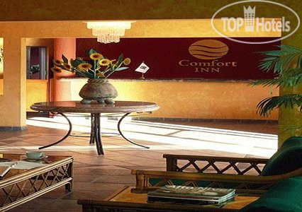 Фотографии отеля  Comfort Inn Los Cabos 2*