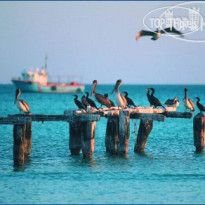 Wayak Holbox Hotel 