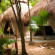 Akumal Natura Glamping king size bed bungalow