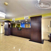 Comfort Inn & Suites Airport Clearwater 