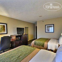 Comfort Inn & Suites Airport Clearwater 