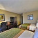 Comfort Inn & Suites Airport Clearwater 