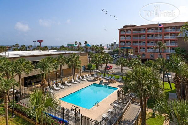 Фотографии отеля  Beachfront Palms Hotel 3*