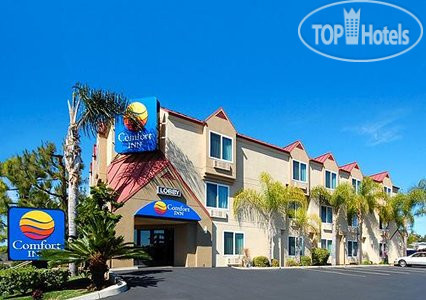 Фотографии отеля  Comfort Inn Near Legoland 2*