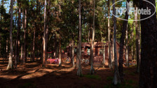 The Cabins at Disney's Fort Wilderness Resort 3*