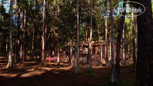 Фотографии отеля  The Cabins at Disney's Fort Wilderness Resort 3*