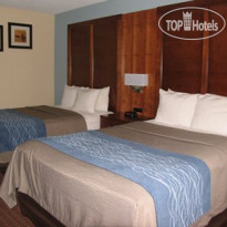 Comfort Inn Catonsville 