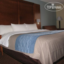 Comfort Inn Catonsville 